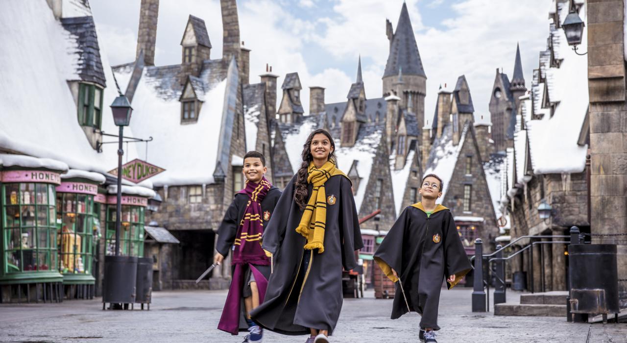 Universal Orlando Resort 14-Day All-Parks Ticket