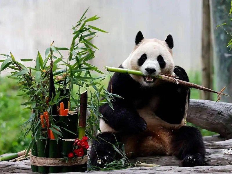 Top 10 Most Popular Beijing Tours & Attractions in 2025/2026
